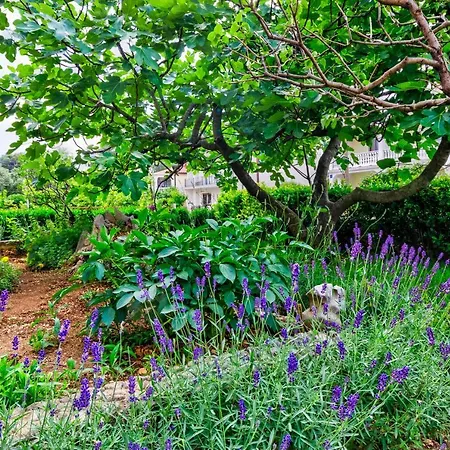 Apartamento Suncica *